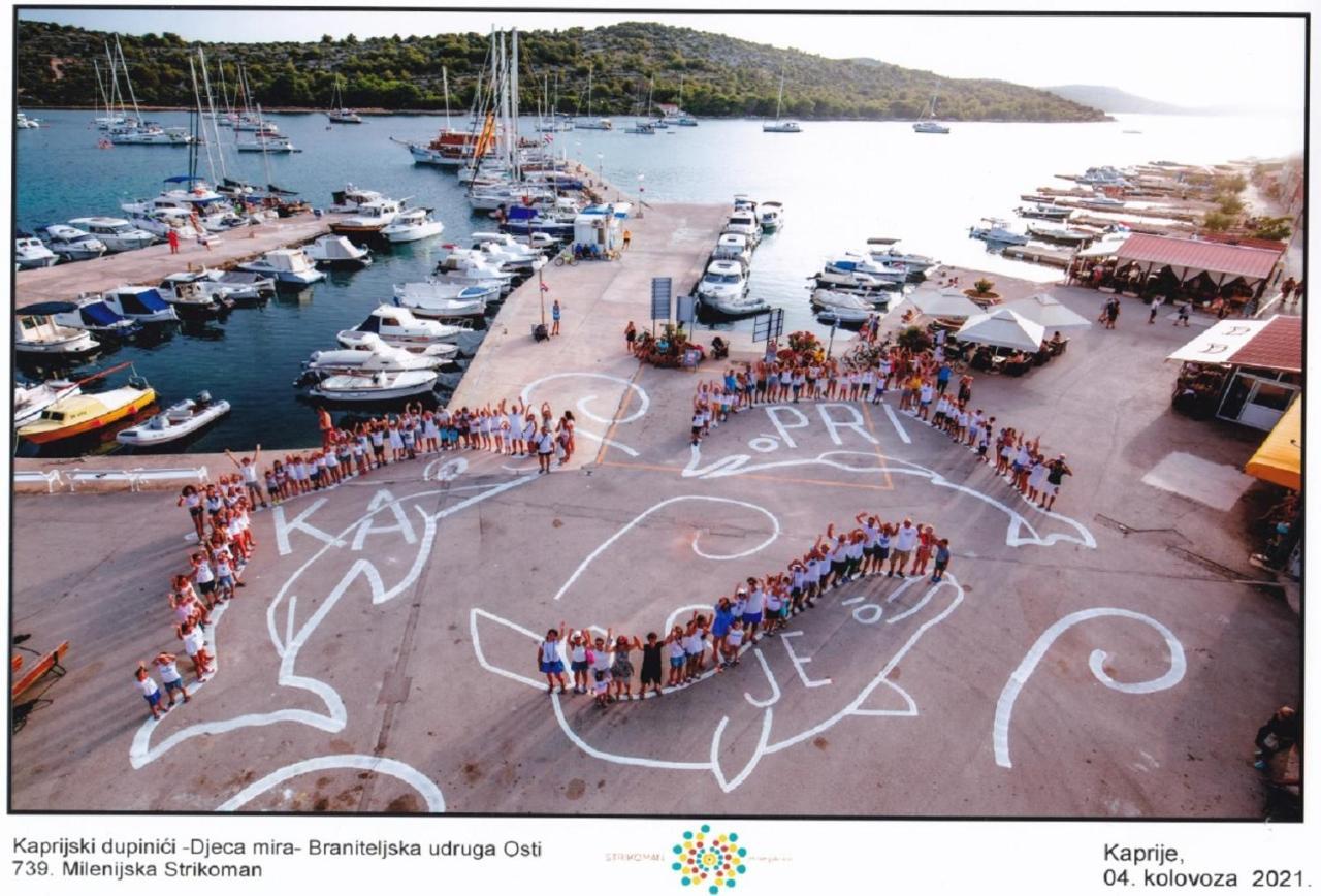 Apartmani Vukovic Kaprije Luaran gambar